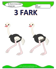 İki Resim Arasındaki Farkı Bul Etkinliği